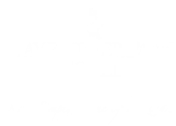 Brand logo on footer