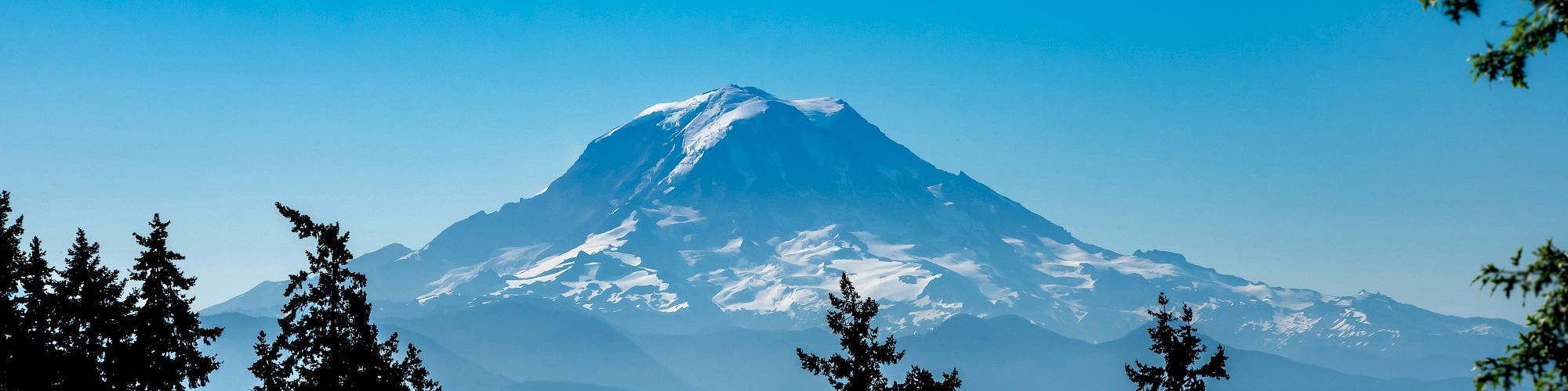 A snow-capped mountain rises beyond a forest of dark silhouettes under a bright blue sky, with pine trees framing the scene.