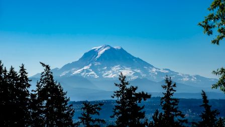 Snow-capped mountain framed by pine trees under a clear blue sky, a serene forest landscape stretching toward the peak.