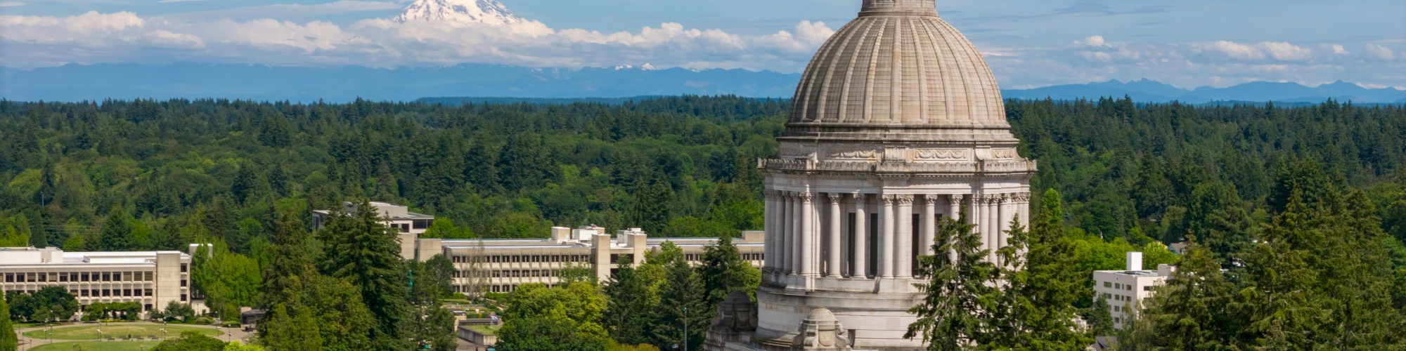 A large domed capitol building sits among green trees, with a bright blue sky and scattered clouds above a campus-like area.