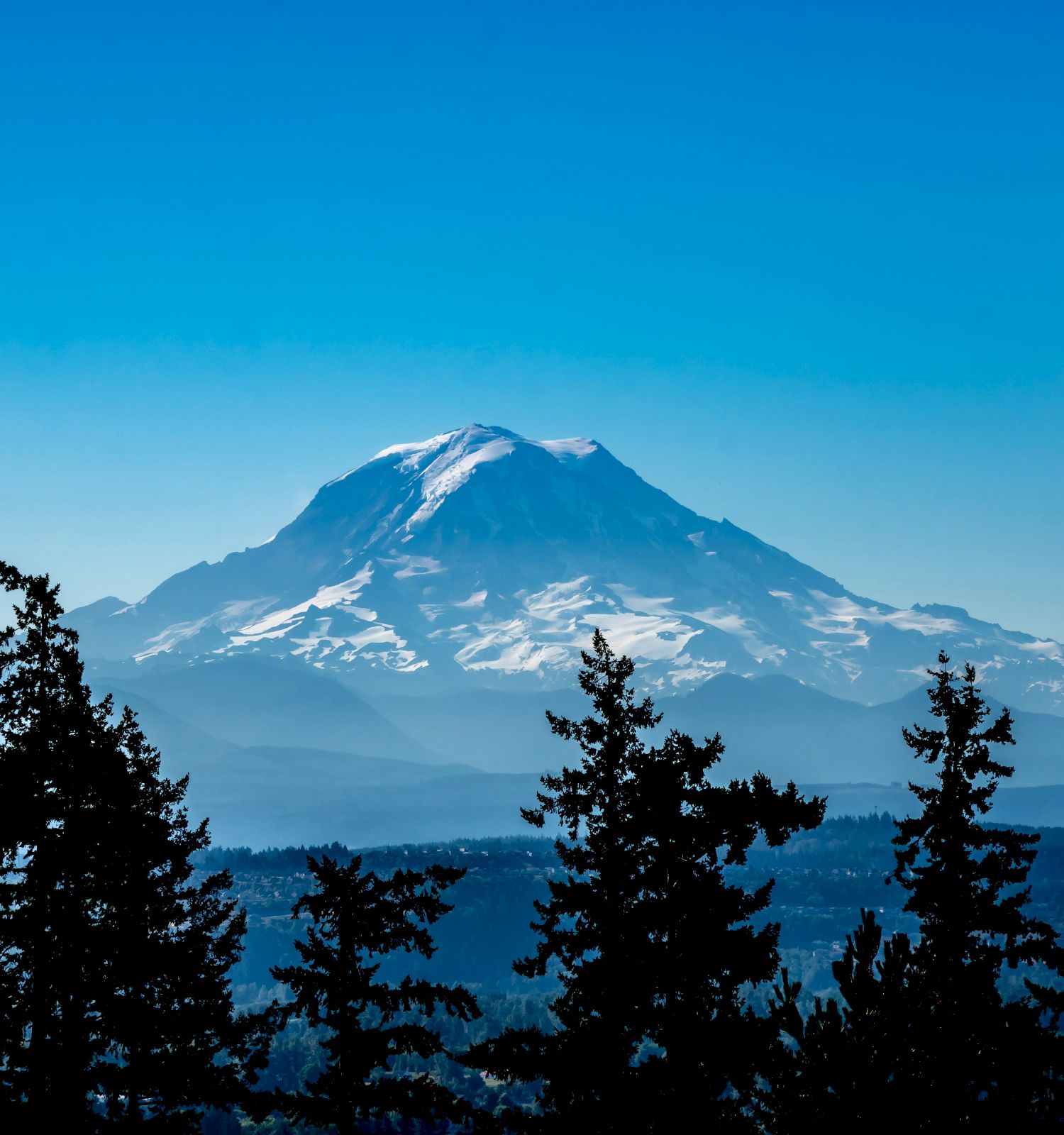 A snow-capped mountain rises above a forest of tall evergreens under a bright blue sky.