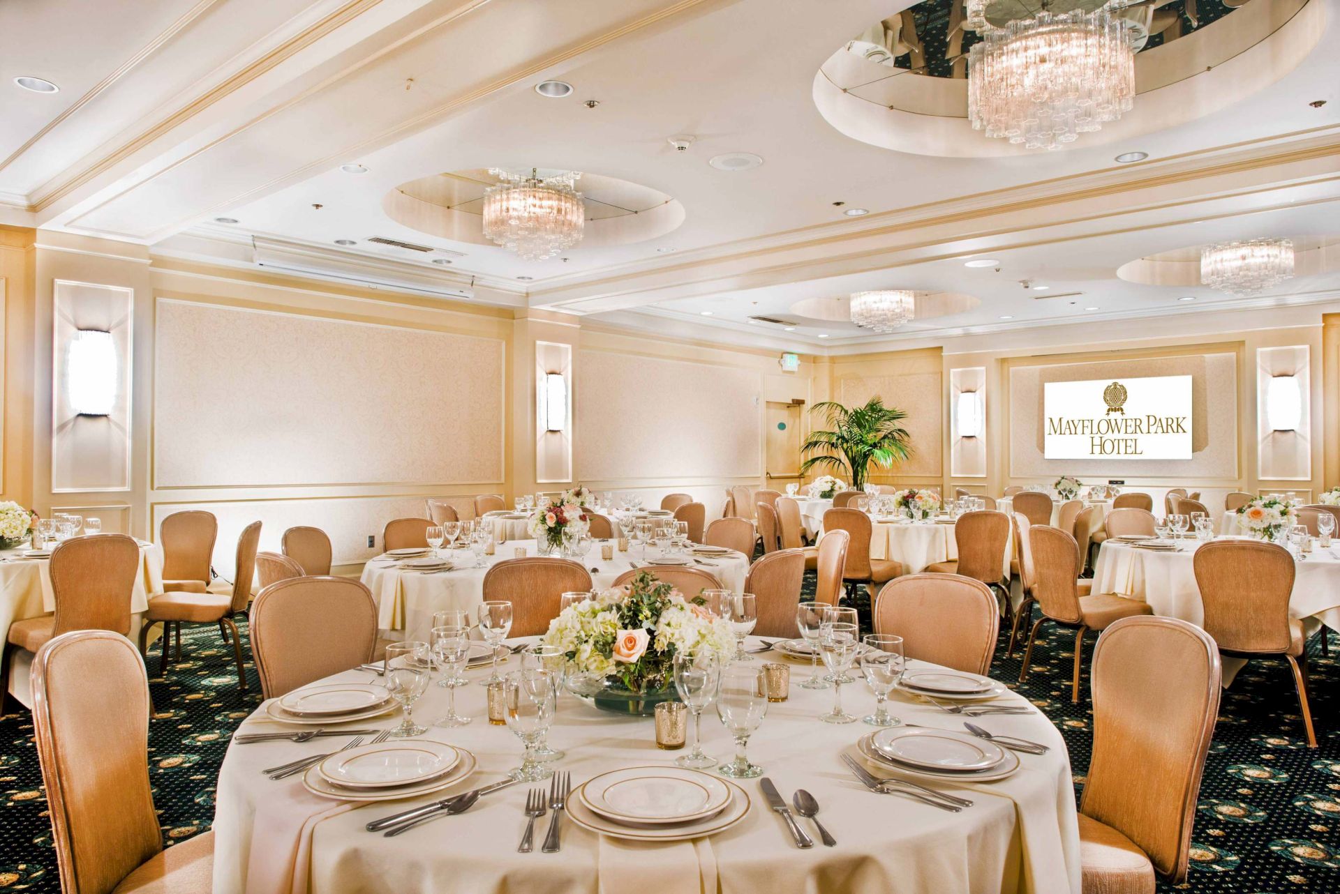 A formal banquet hall with round tables, beige chairs, white tablecloths, elegant place settings, chandeliers, and a stage screen in the background.