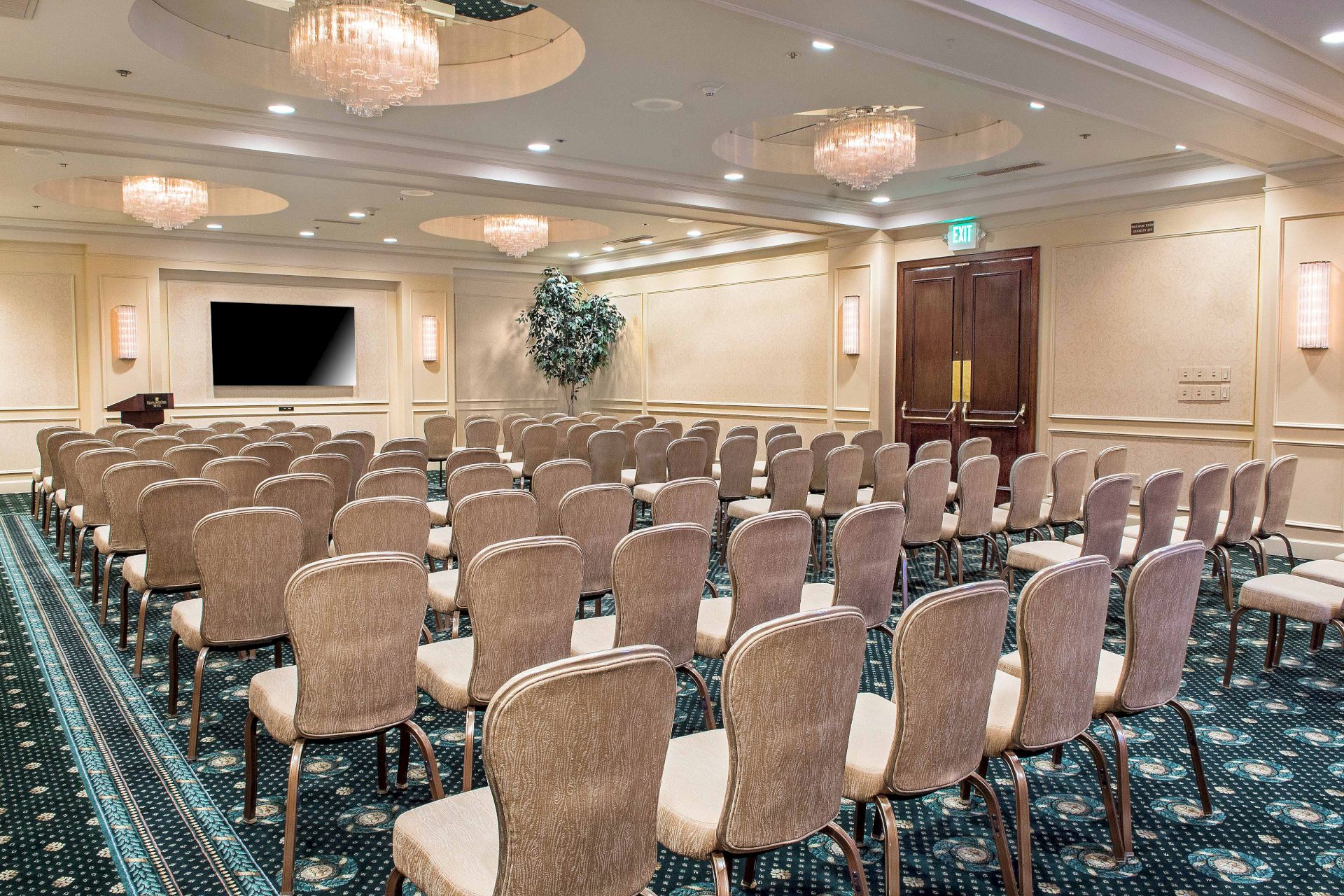A conference room with beige chairs arranged in rows, a carpeted floor, chandeliers, a screen at the front, and a plant near the back wall, ready for a presentation.