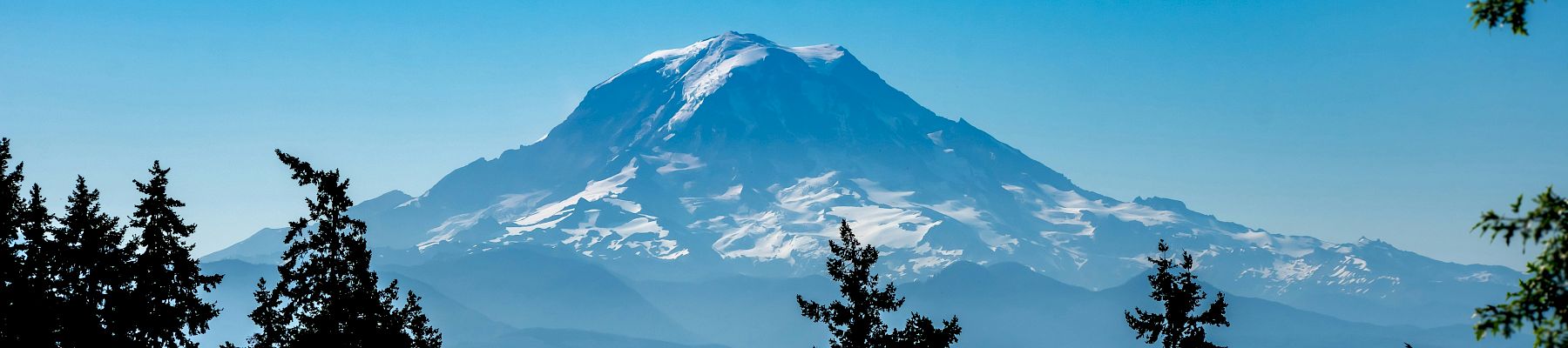 A snowy mountain peak rises above a forested foreground under a clear blue sky, with tall pine trees framing the view.