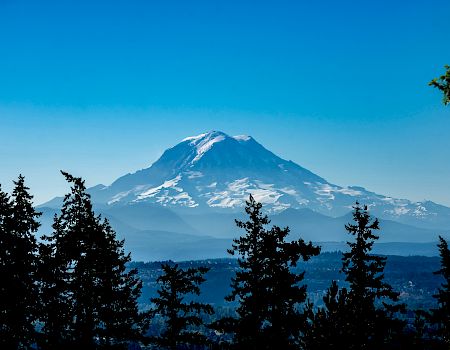 A snowy mountain peak rises above a forested foreground under a clear blue sky, with tall pine trees framing the view.
