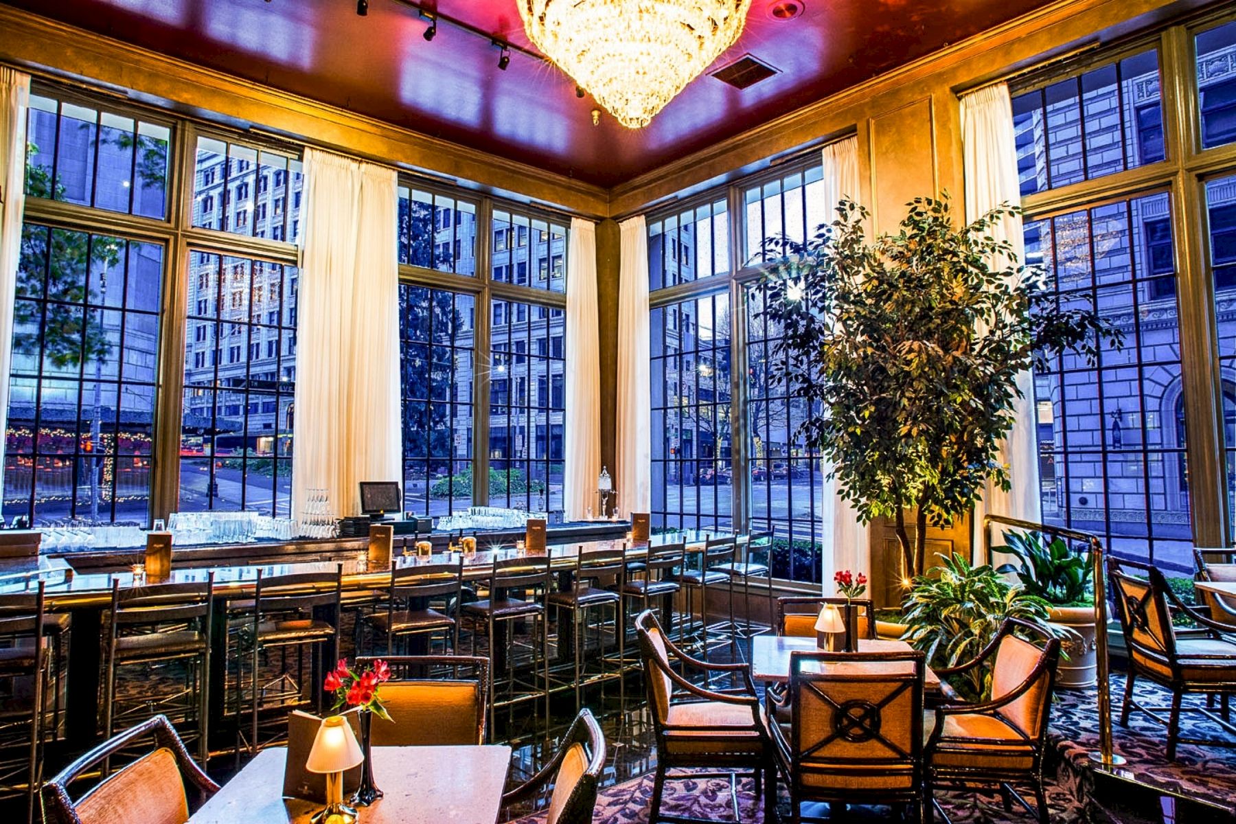 A stylish, sunlit restaurant with tall windows, modern bar seating, cozy tables, warm lighting, and a potted tree adding greenery.