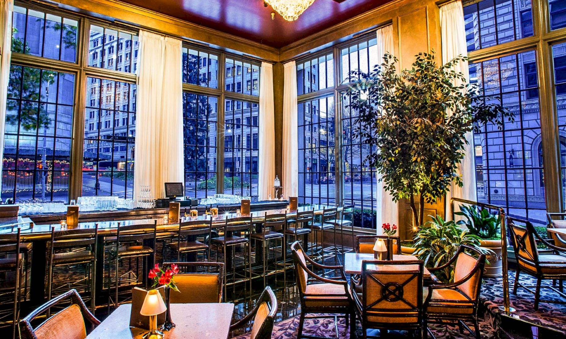 A stylish, sunlit restaurant with tall windows, modern bar seating, cozy tables, warm lighting, and a potted tree adding greenery.