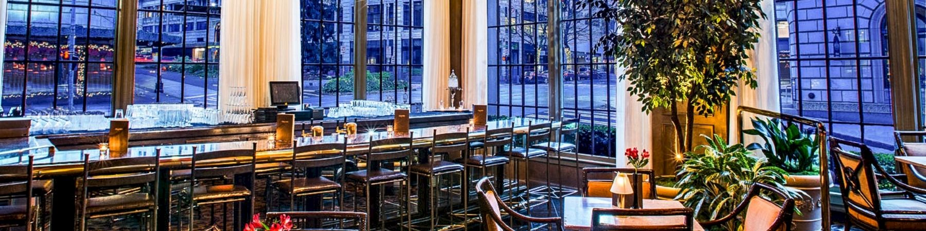 A stylish, sunlit restaurant with tall windows, modern bar seating, cozy tables, warm lighting, and a potted tree adding greenery.