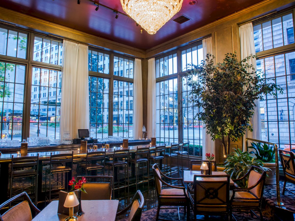 A stylish, sunlit dining room with large windows, cozy seating, potted trees, and a chandelier overhead, creating an elegant, airy vibe.