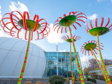 Explore the outdoor art and sculptures at the Pacific Science Center, just a short Monorail ride from our hotel near Seattle Center.